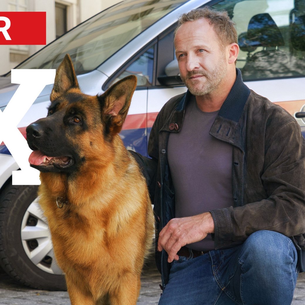 An diesem Tag startet der neue "Kommissar Rex"/Sat.1/ORF/Petro Domenigg An diesem Tag startet der neue "Kommissar Rex"/Sat.1/ORF/Petro Domenigg