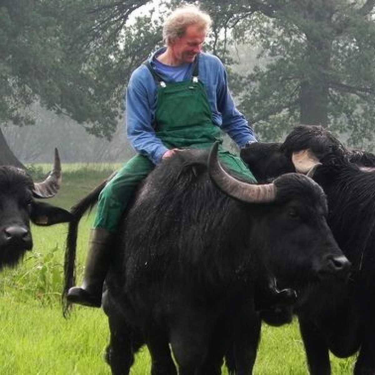 Mit Herz Und Hammer Mit Herz Und Hammer