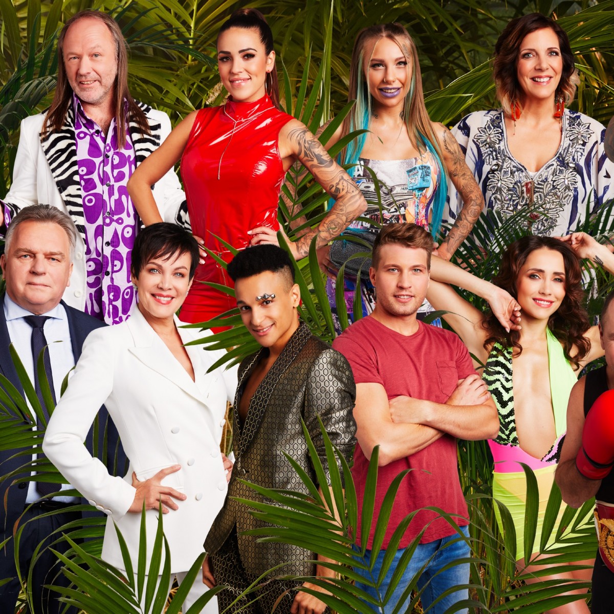 Dschungelcamp 2020: Alle Infos Zum Start Der 14. "IBES"-Staffel ...