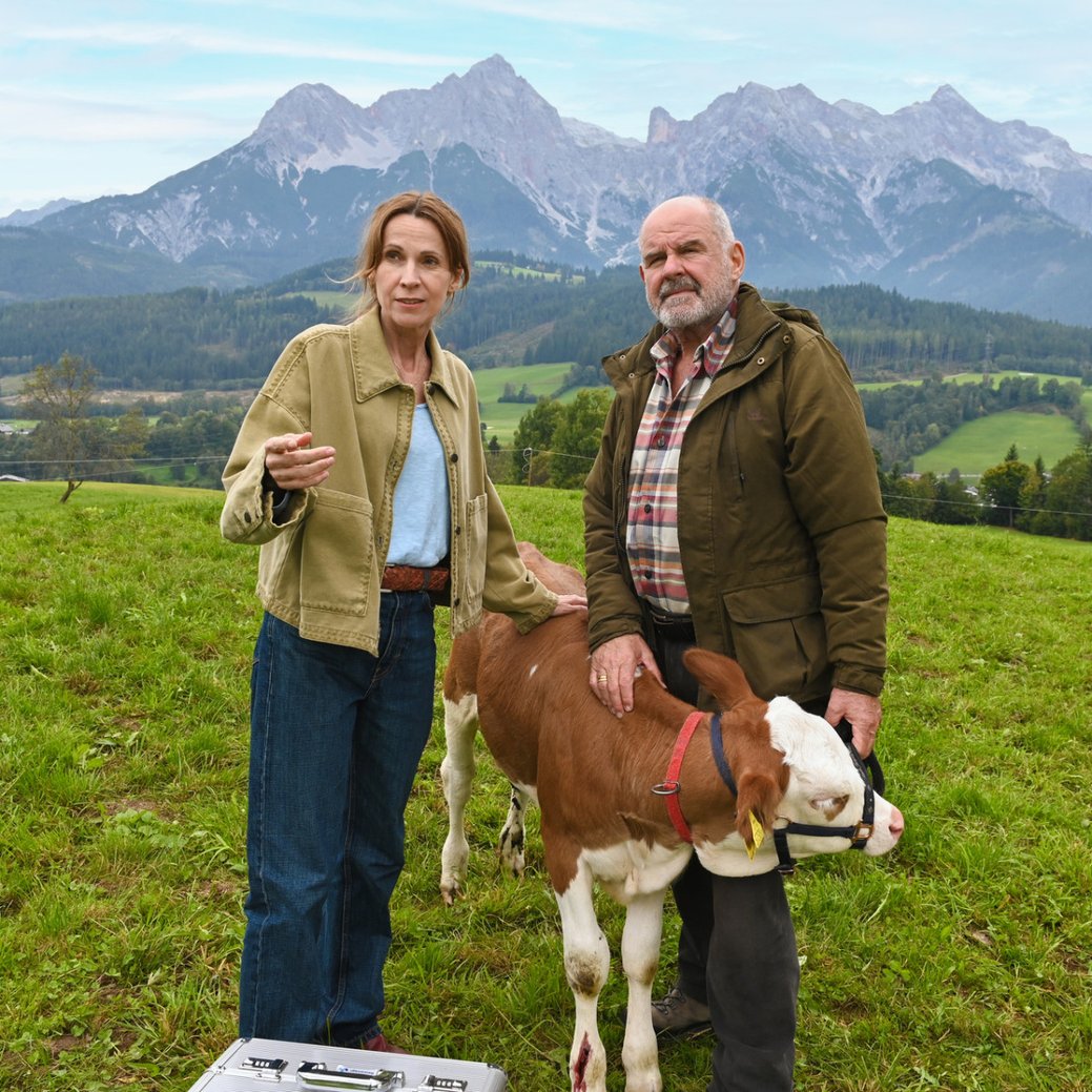 Quoten: "Die Maiwald" muss sich "Dänemark-Krimi" deutlich geschlagen geben/ZDF/André Kowalski Quoten: "Die Maiwald" muss sich "Dänemark-Krimi" deutlich geschlagen geben/ZDF/André Kowalski