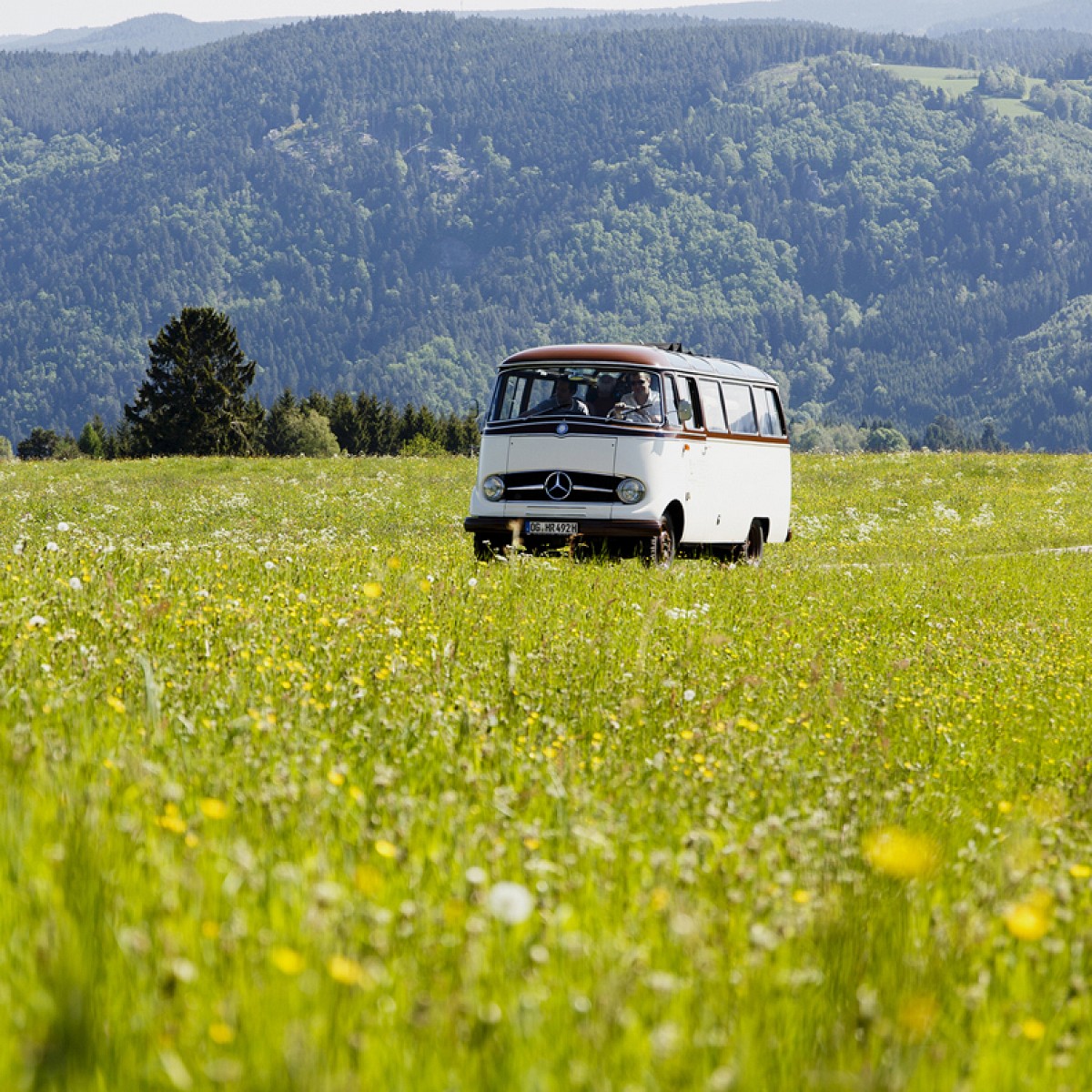 Lecker Aufs Land 2019 Neue Folgen