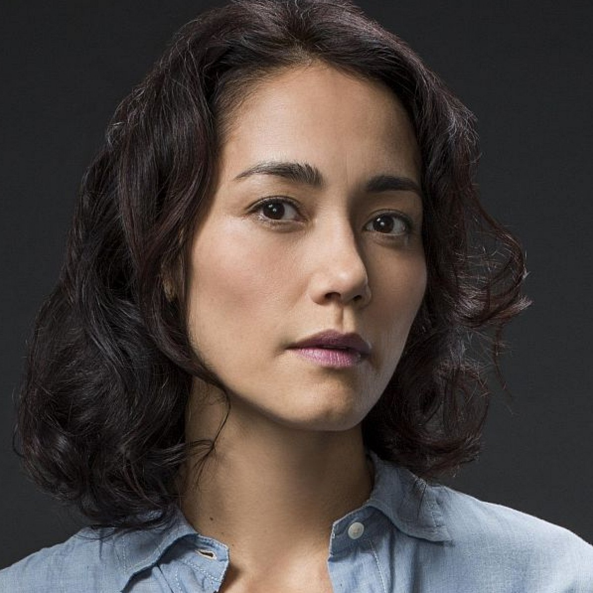 Sandrine Holt chinese