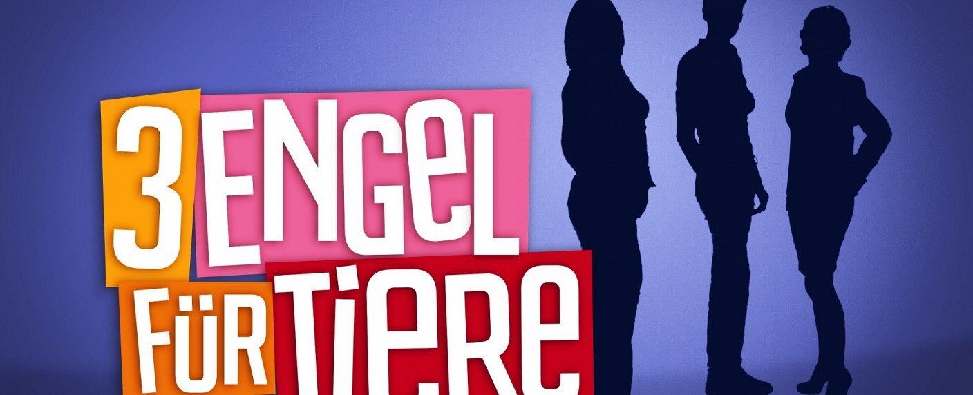 Acht neue Folgen mit den Tiertrainern