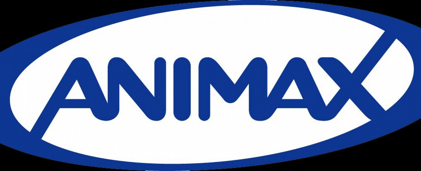Animes werden ins Internet verlagert