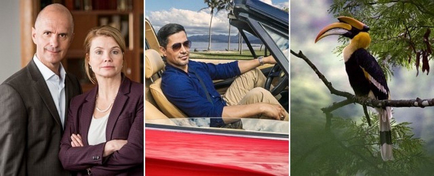 Von Naturwunder bis Nachtschwestern, von Magnum bis Merz