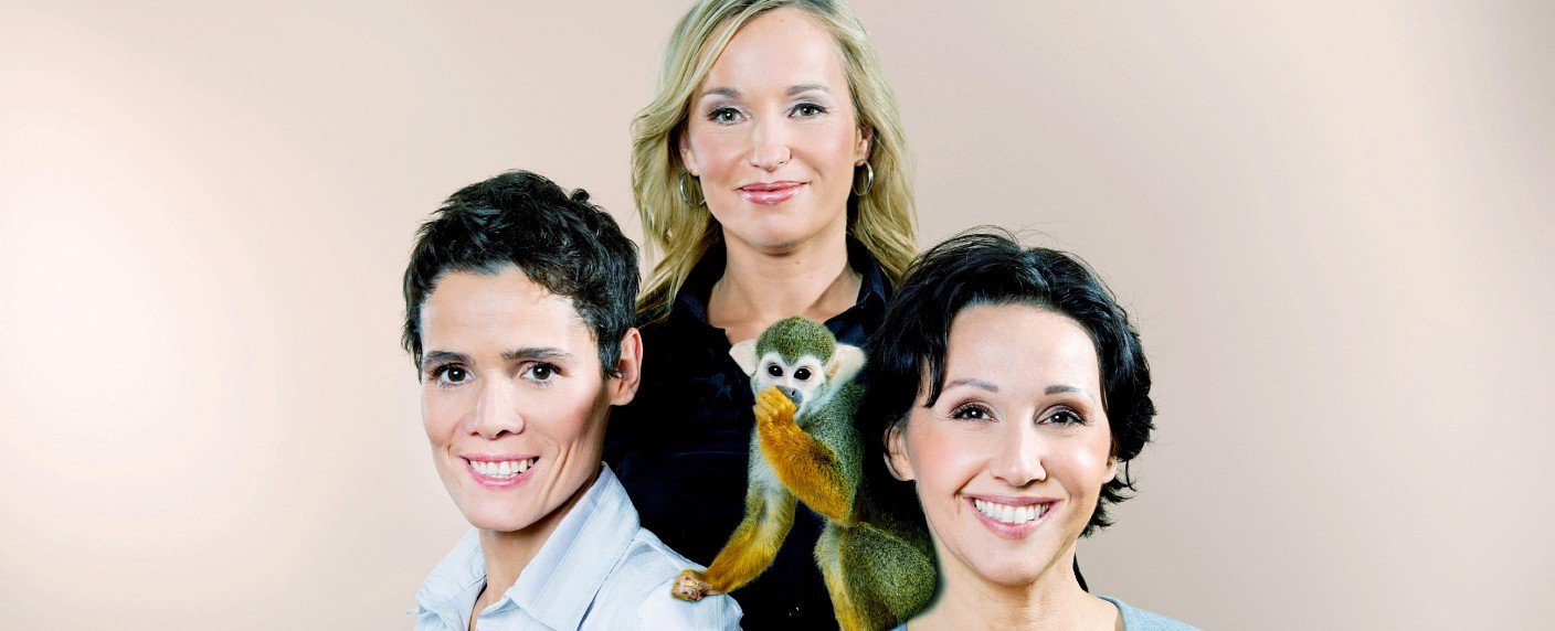 Weitere Nothilfe für Katzen, Schweine und Papageien