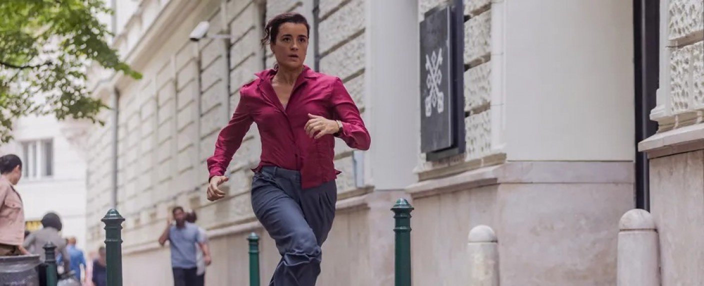 Keine Romantik für Michael Weatherly und Coté de Pablo in Paris