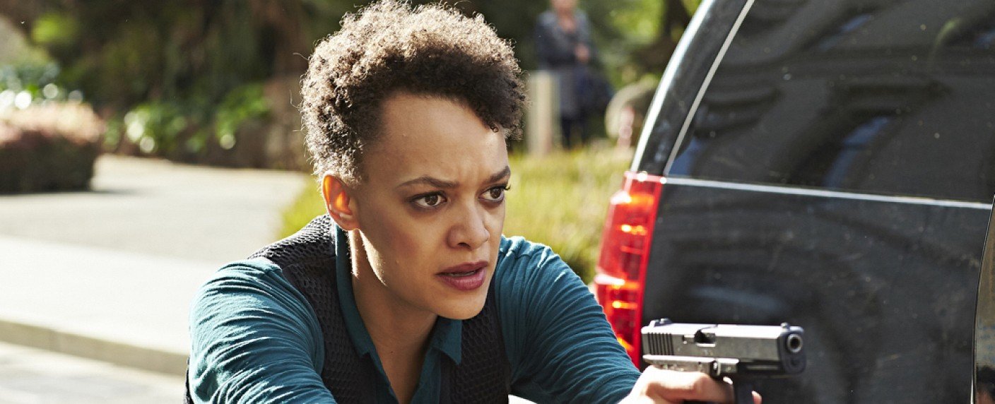 Pilot über Anwälte an wichtigem New Yorker Gericht