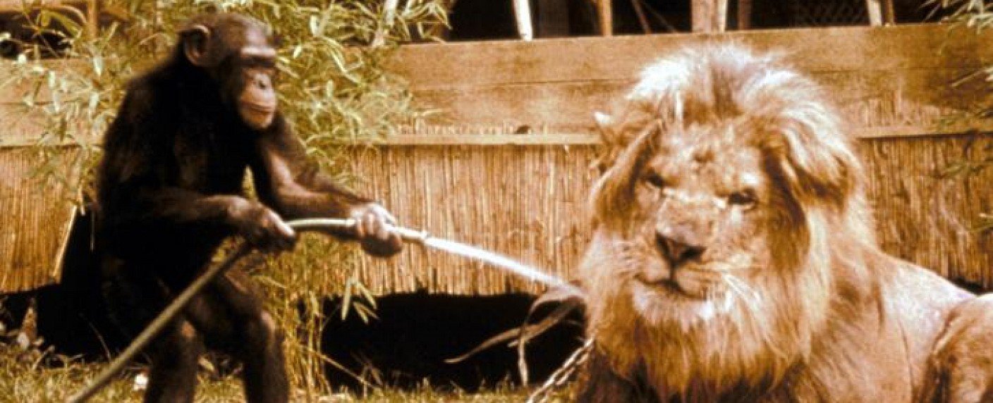 Eventprogrammierung an Neujahr