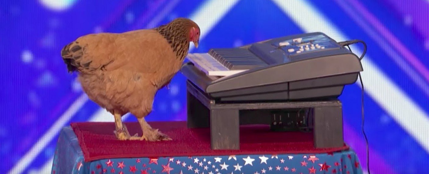 Vier Stunden lang Highlights aus dem "Got Talent"-Franchise