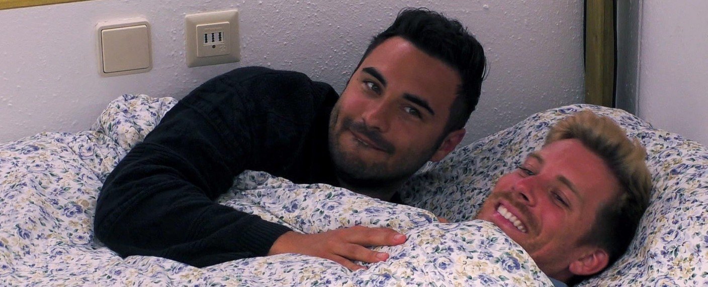 "Die Reimanns" kehren ordentlich zurück, "The Taste" bleibt gut in Form