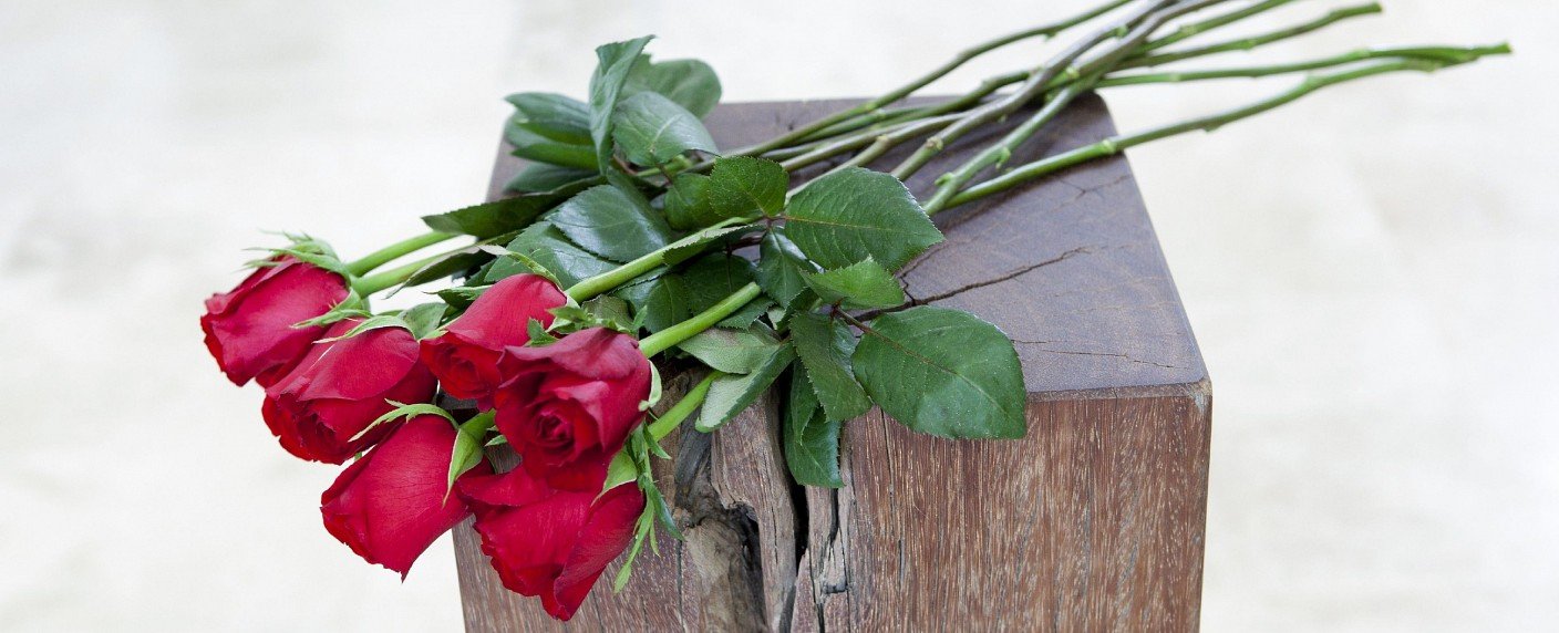 Immobilienmakler Daniel Völz als Rosenkavalier?