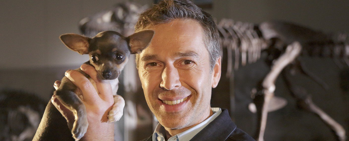 Zweiteiler f&uuml;r September und Jahresende angek&uuml;ndigt