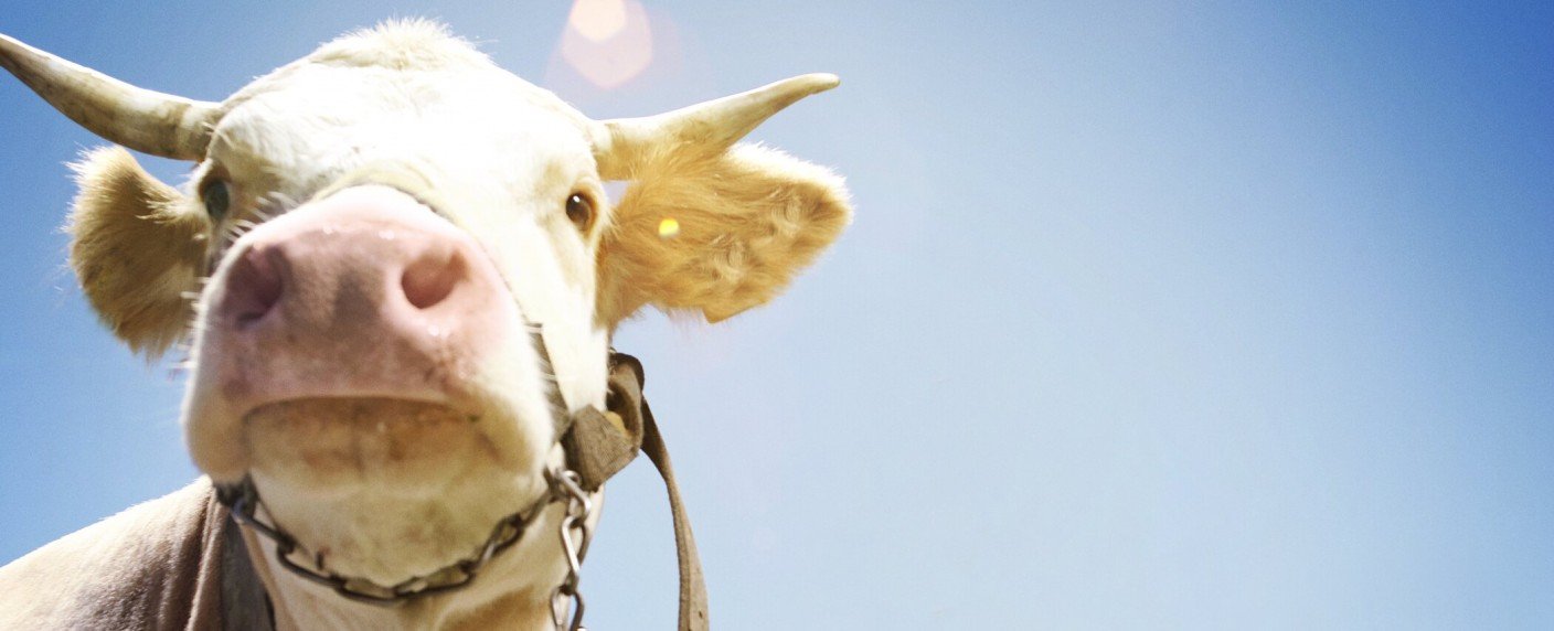 Sender reagiert auf Trash-TV-Boom