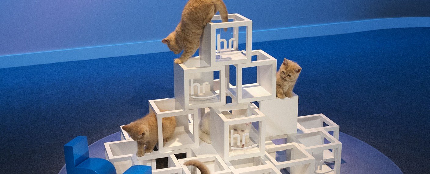 Neuauflage des 45 Jahre alten Klassikers