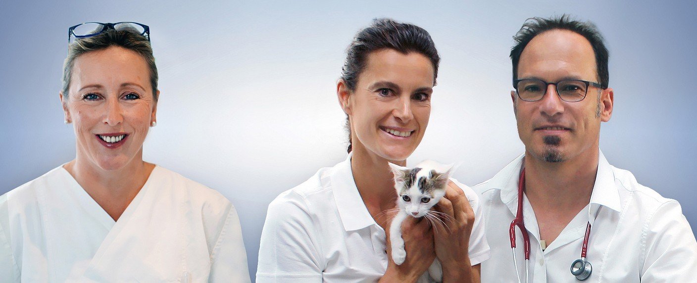 Neue Dokutainmentreihe im Ersten