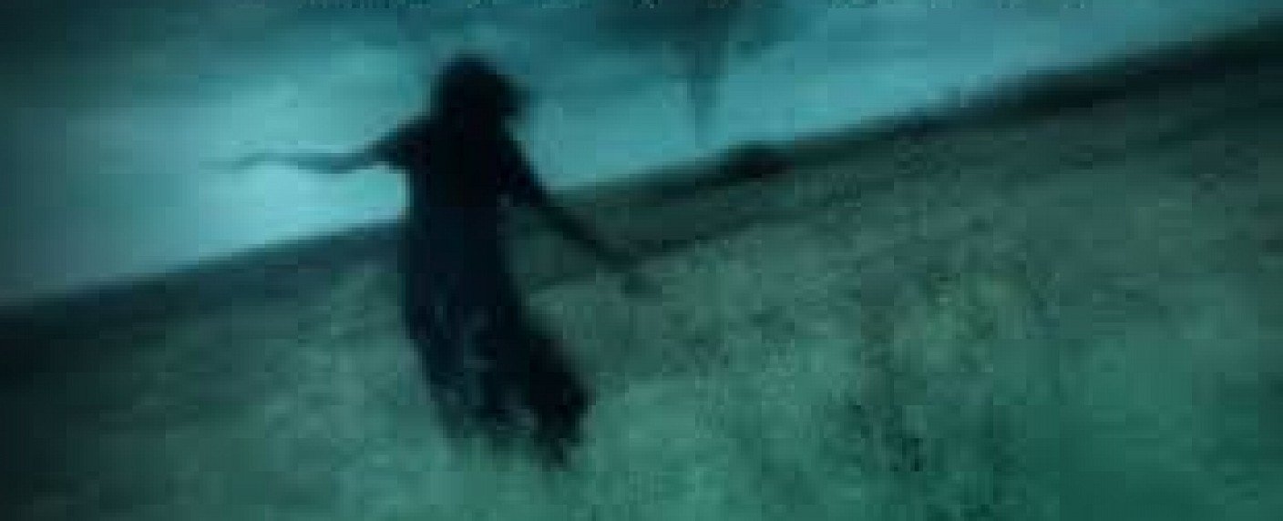 Neuinterpretation der Buchreihe erhält erneute Direktbestellung