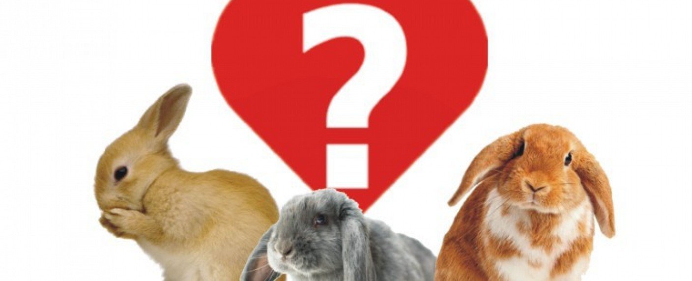 Single-Frau muss potenziellen Traumpartner ausfindig machen