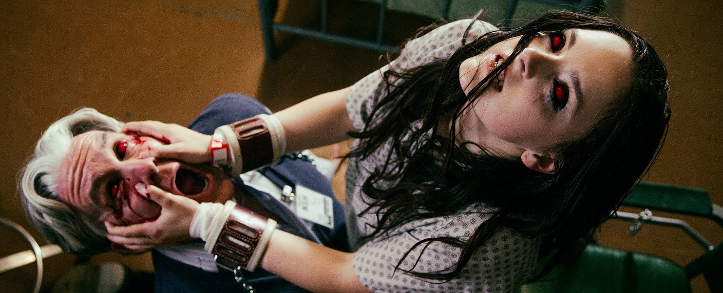 Neue Abenteuer für die Gecko-Brüder