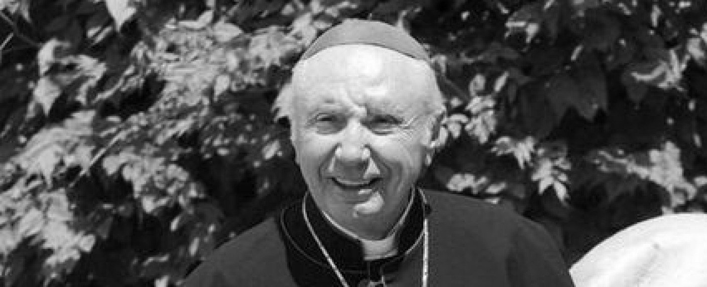 Synchronsprecher von Peter Falk, Woody Allen und Peter Fonda