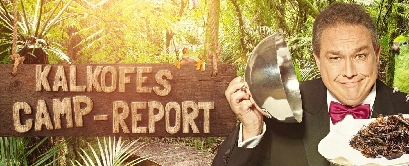 Intensive Begleitung des RTL-Dschungelcamps