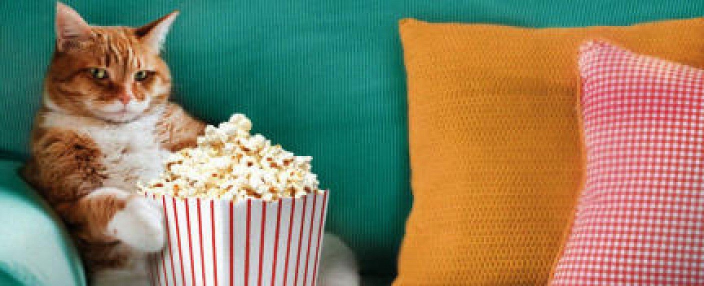 Ein Katertag zum Vatertag