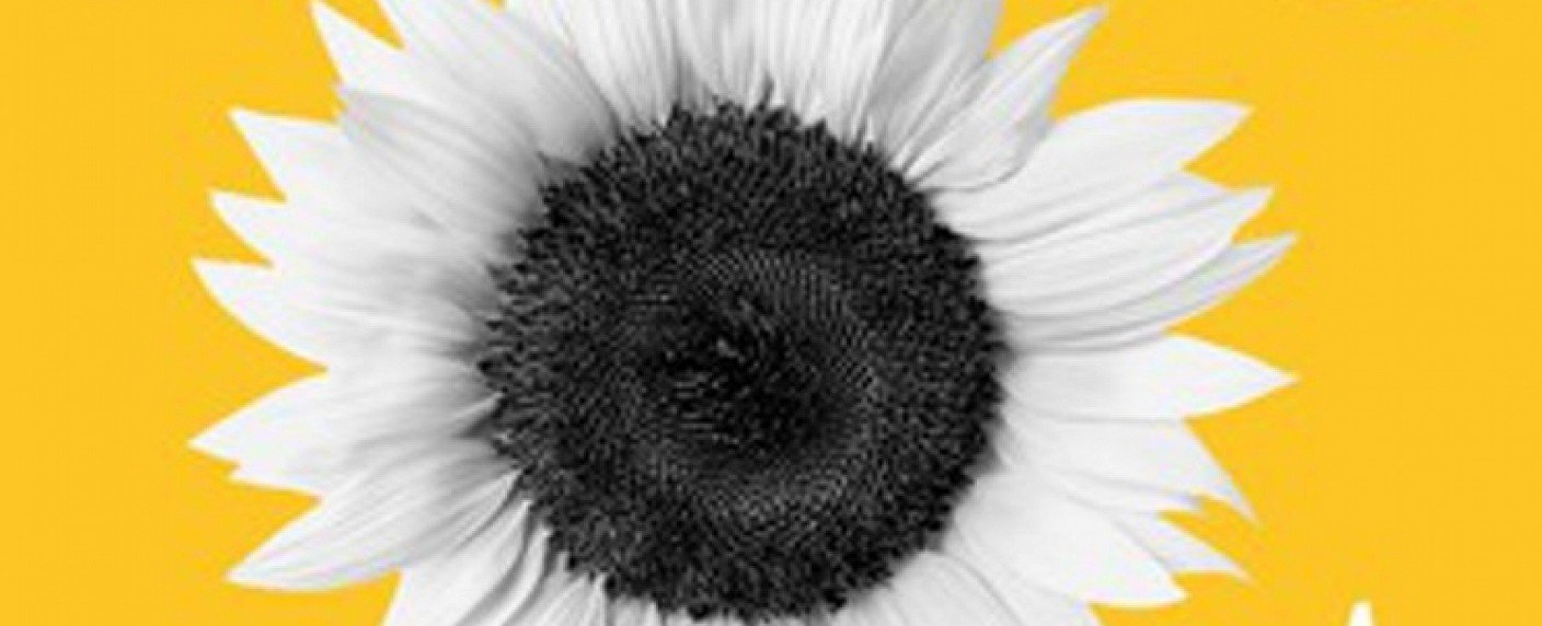 Ein irisch-afro-amerikanischer Mann auf Identit&auml;tssuche