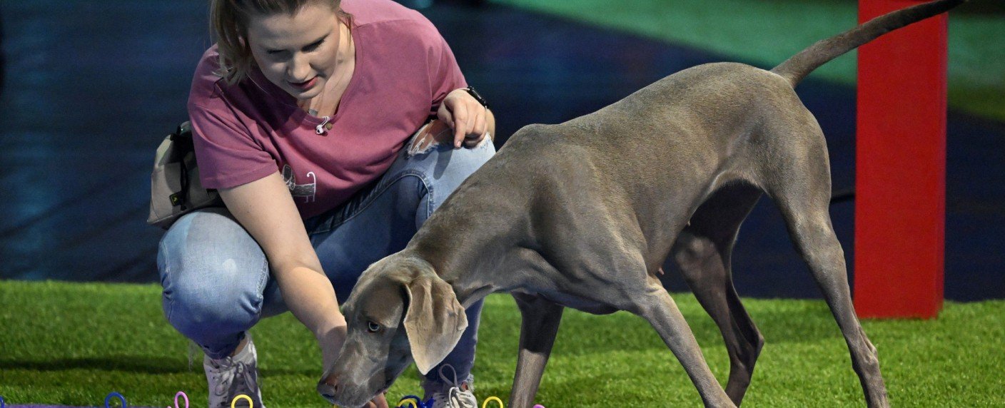 Frank Buschmann und Jan Köppen moderieren, Laura Wontorra ist raus