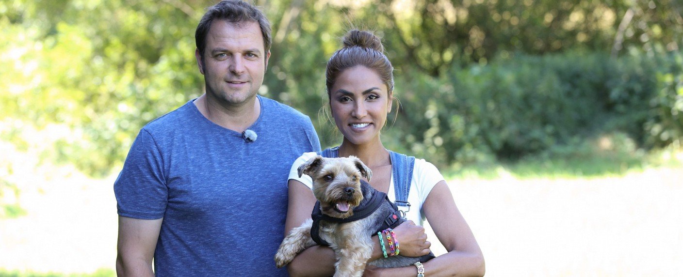 Kastrop, Setlur und Anders bitten Martin Rütter um Rat