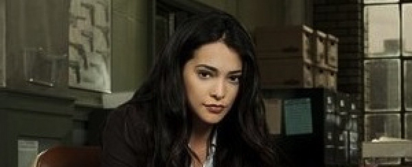 Auch Lance Gross in Martial-Arts-Drama dabei