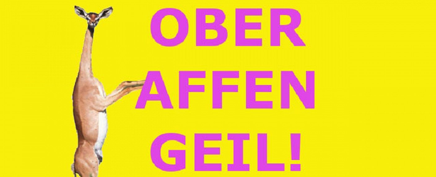 Katzenberger und Zietlow in der Jury