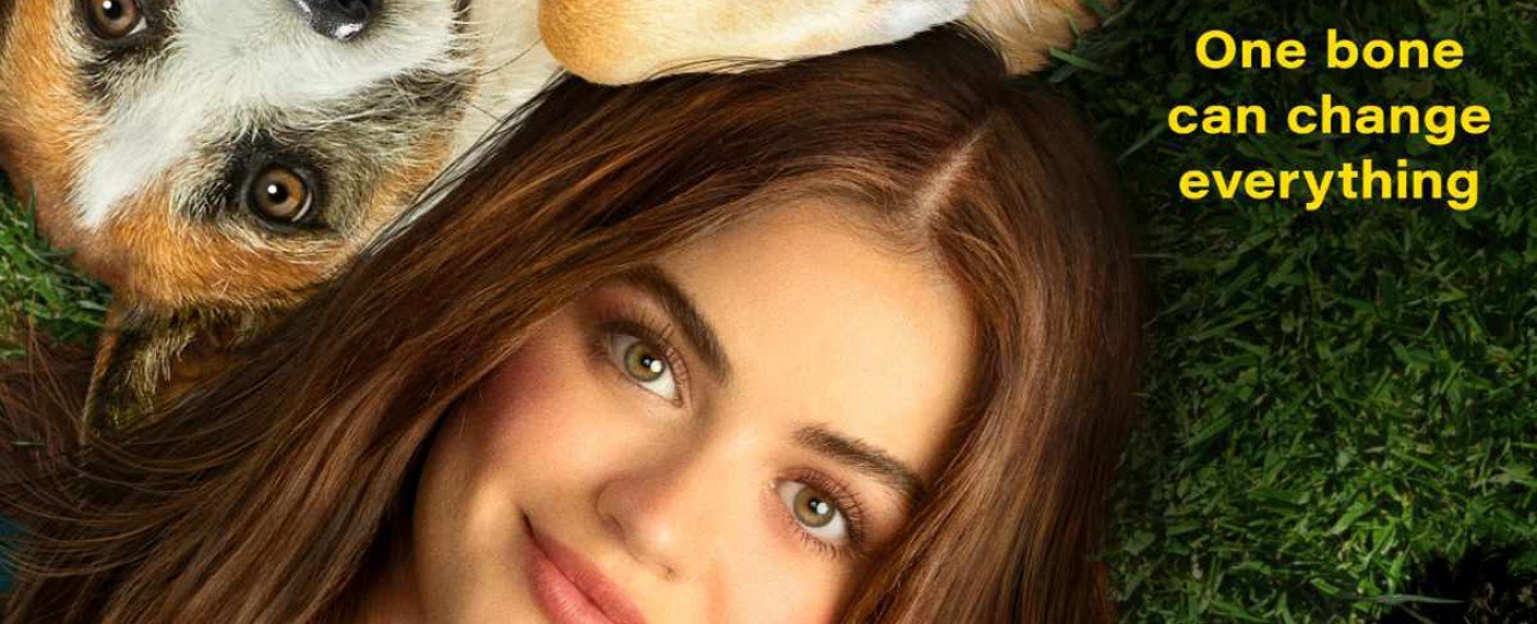 "Puppy Love" um Hundeliebe und menschliche Hindernisse