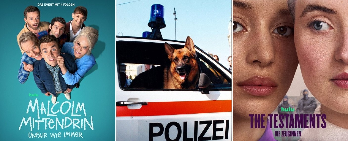 Von "Kommissar Rex" bis "Malcolm mittendrin", von "The Testaments" bis "Das Geisterhaus"