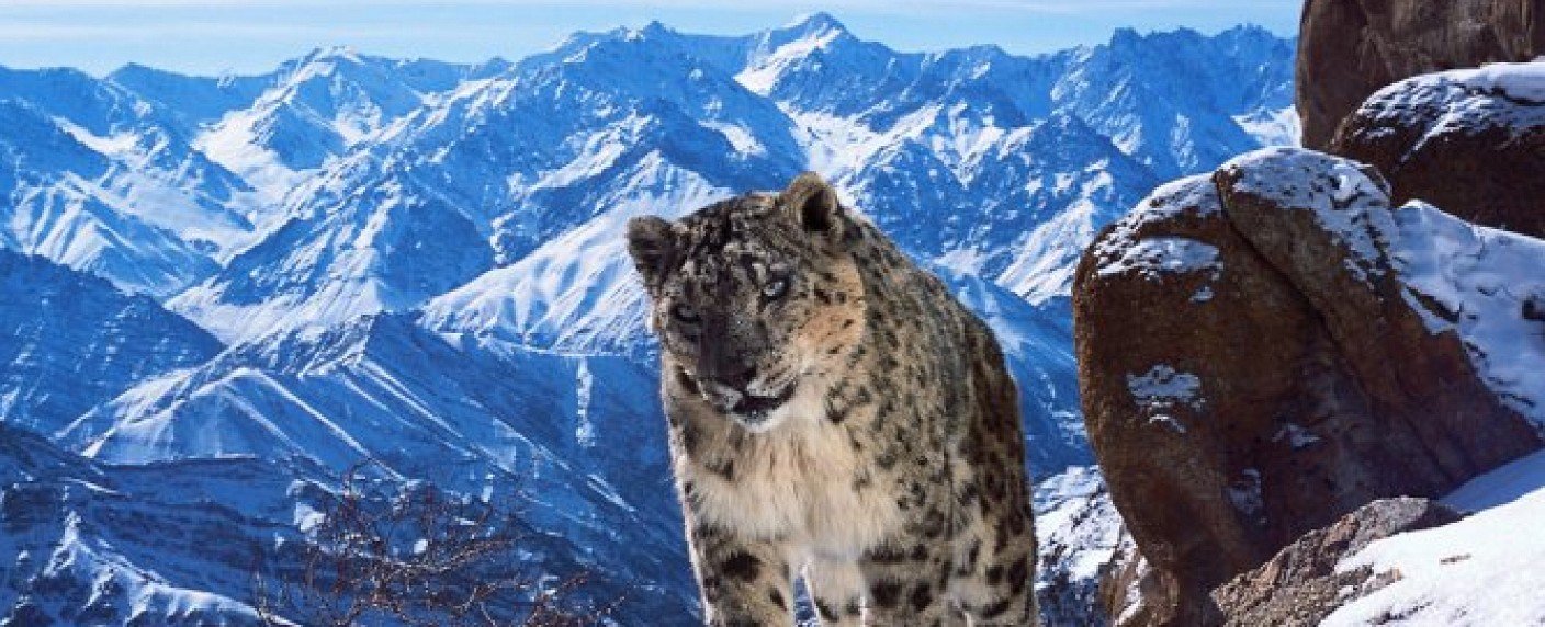 Ko-Produktion von BBC und ZDF auf der Zielgeraden