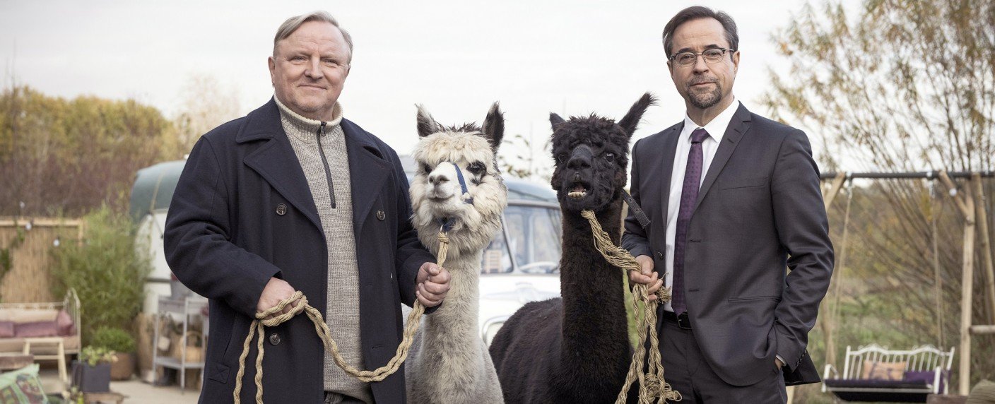 "Grill den Henssler"-Jubiläum macht VOX froh, "Fack ju Göhte" punktet in Sat.1