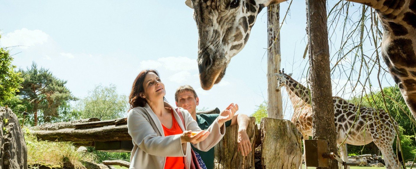 Rückkehr der Familienserie im kommenden Jahr