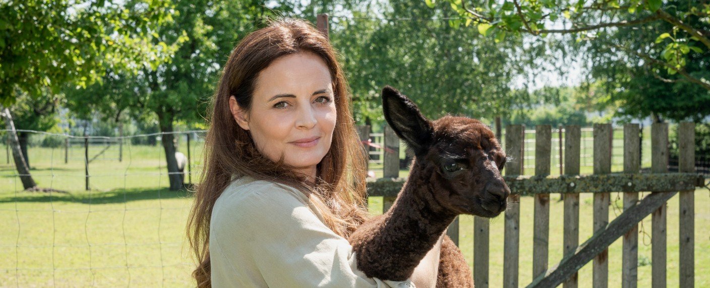 "Sing meinen Song" erholt sich, "Navy CIS"-Crossover überzeugt am späten Abend