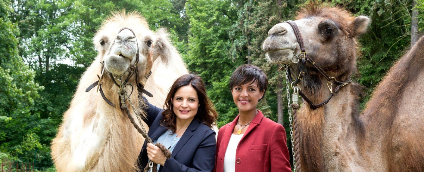 ARD-Serie wird nach 15 Jahren abgesetzt