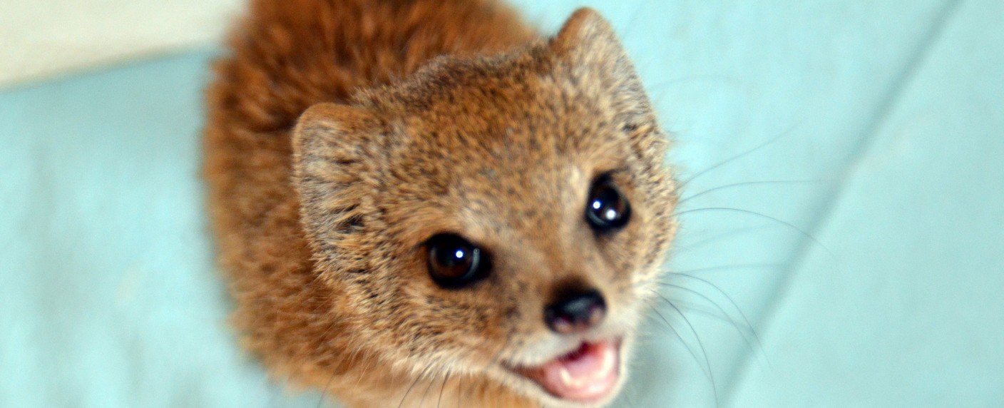 Zweite Staffel der Doku-Reihe