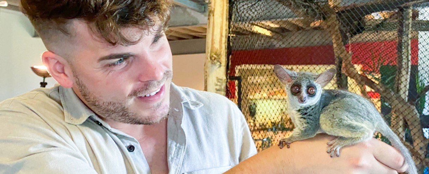 Neue Staffel im Mai mit Rehkitzen, Buschbaby und Eichhörnchenbabys