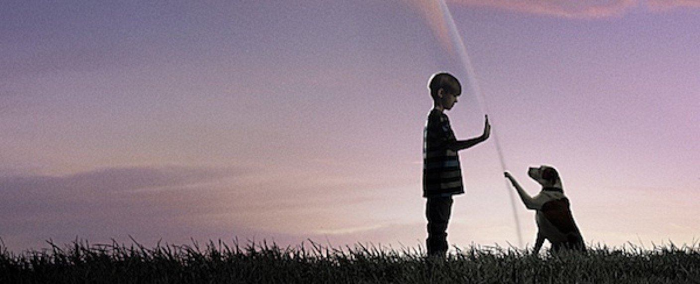 Stephen-King-Adaption bald auf ProSieben