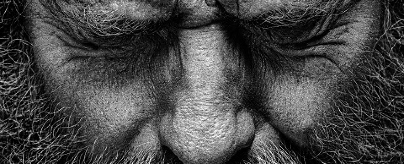 Krimiserie mit Bryan Cranston geht weiter