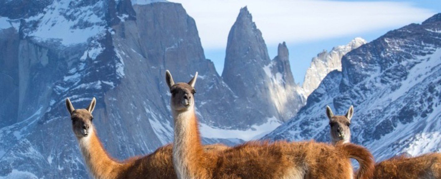 Hans Zimmer als Komponist dabei, erster Trailer veröffentlicht