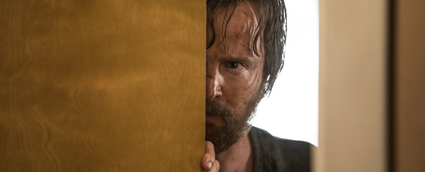 Die neuen Abenteuer von Jesse Pinkman