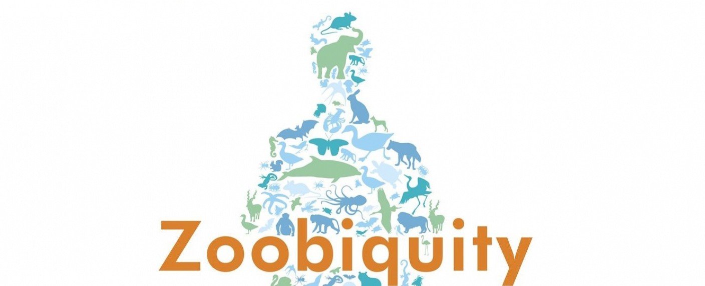 Kardiologin trifft auf Tierarzt, Profi-Coach trifft auf Schulmannschaft