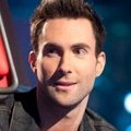 Produzenten verhandeln mit Maroon 5-Frontmann