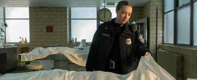 MIT series Amanda Seyfried Fin