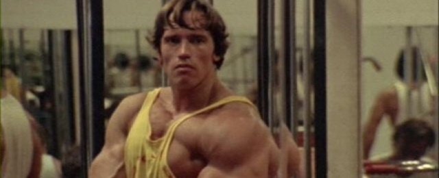Anfänge als Bodybuilder in den 1970er Jahren als Vorbild