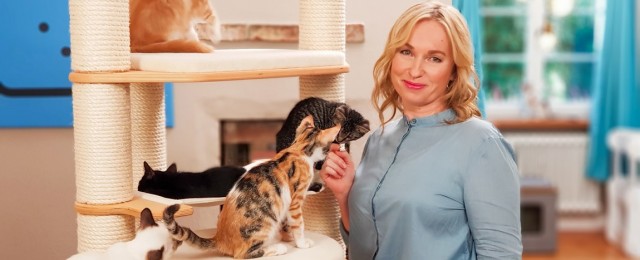 Neue Dokureihe mit Katzenexpertin Birga Dexel