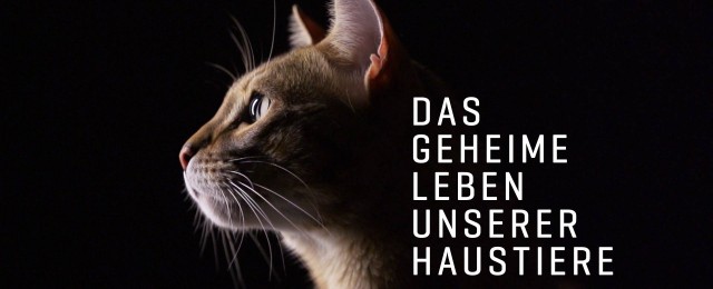 Neue Tierdokureihe am Samstagvorabend